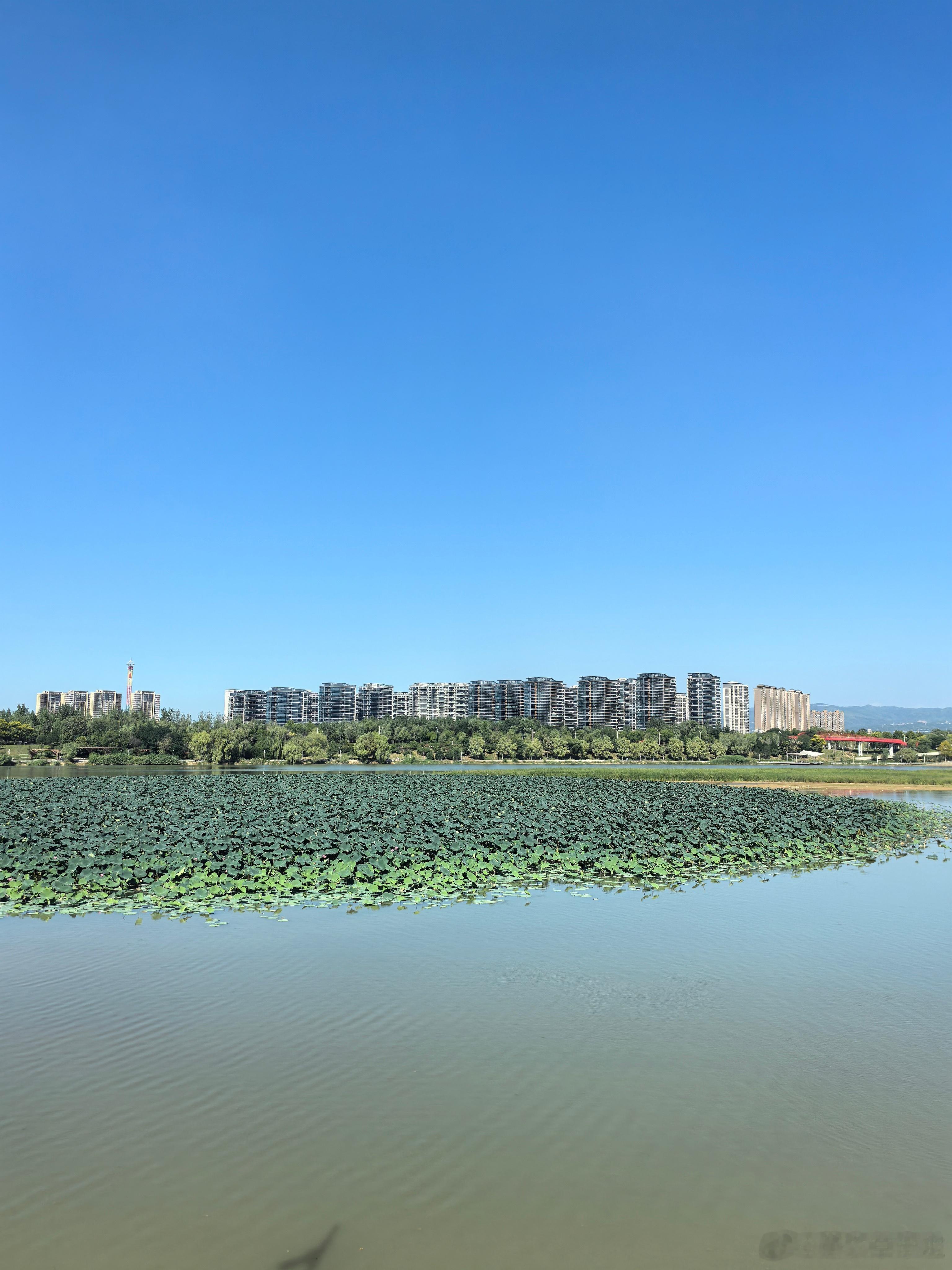 随手拍美景 [心][心] 荣儿的日常 秋意漫染，湖光入目，万里晴空映着粼粼水波，
