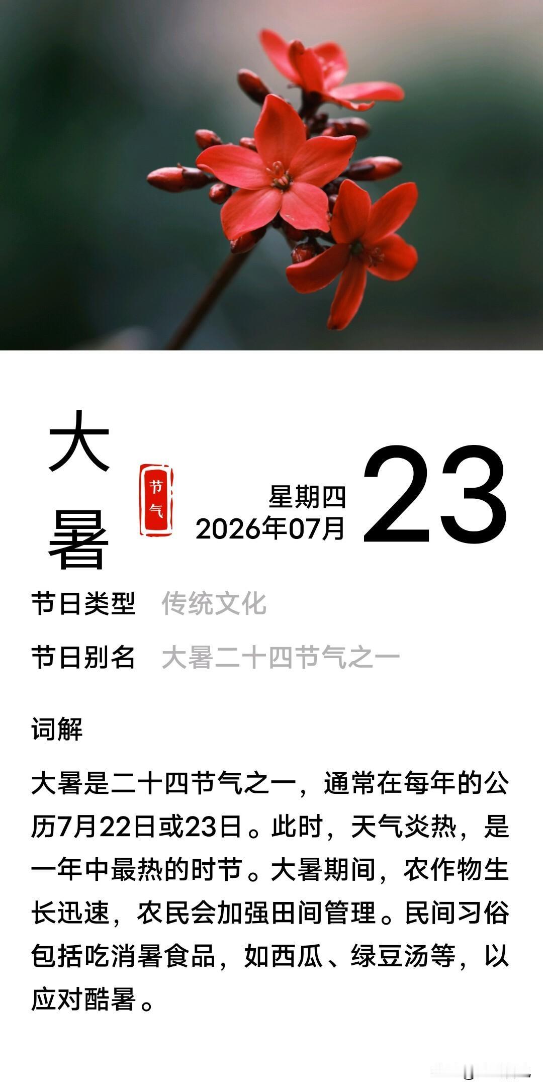 早安 ‖ 蝉鸣迎大暑，
清风慰长夏大暑，夏天最后一个节气
夏之盛极，万物荣华
愿