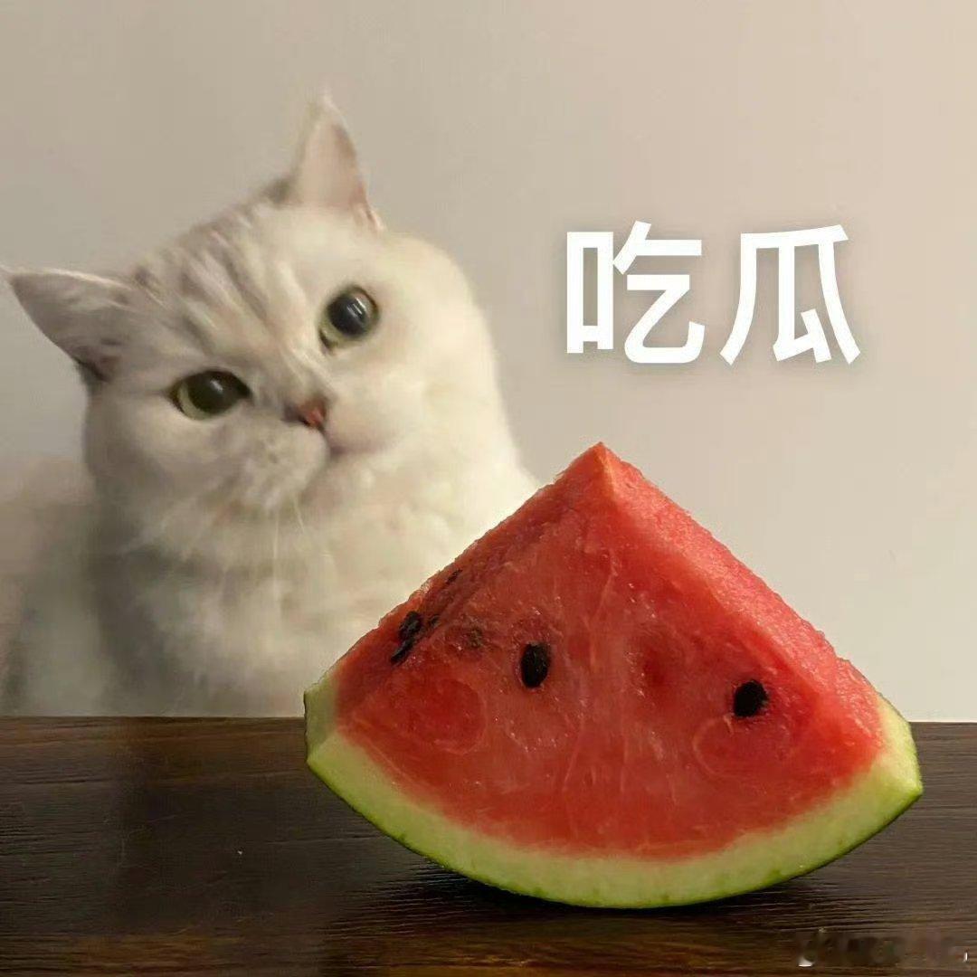 时代少年团应该庆幸是杨迪抽到了他们的礼物，不然送自己的棉花娃娃也是够神经的，这不