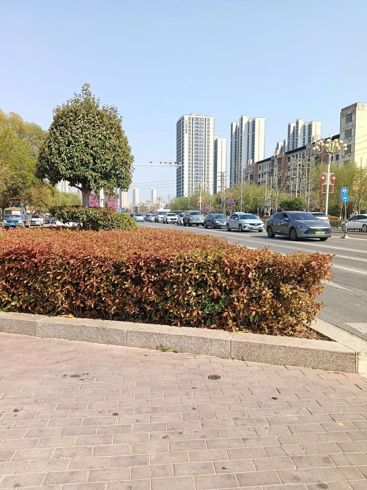 商丘街头随拍分享