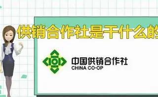 最近乡镇供销社、粮管所全面复苏，大手笔投资覆盖粮食收储、烘干、加工、农资供应全链