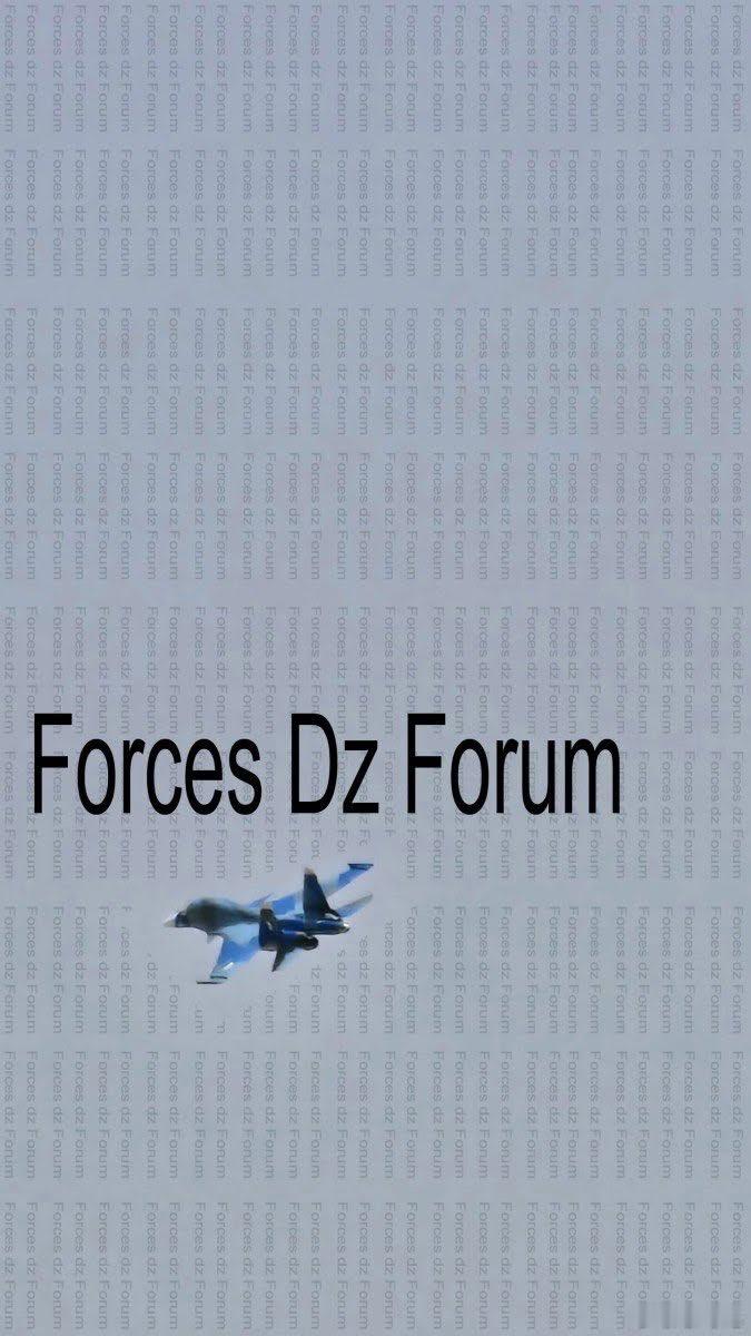 阿尔及利亚空军的俄制苏34前线轰炸机 