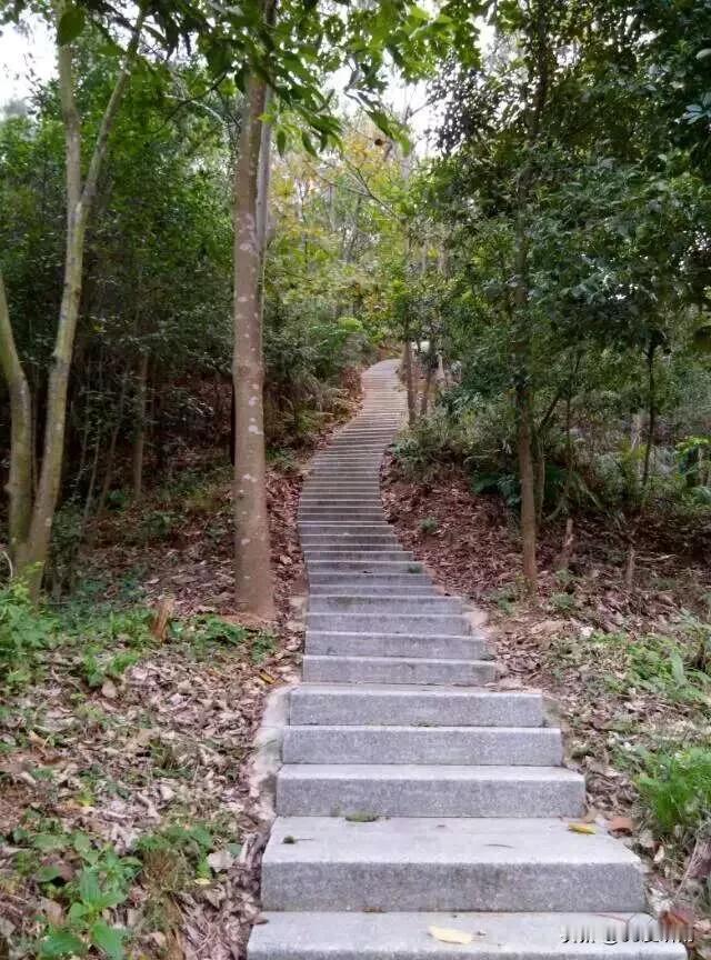 #我们该如何好好地活着？#我是一个打工族，不上班就穷，上了班感觉又穷又累，辛辛苦