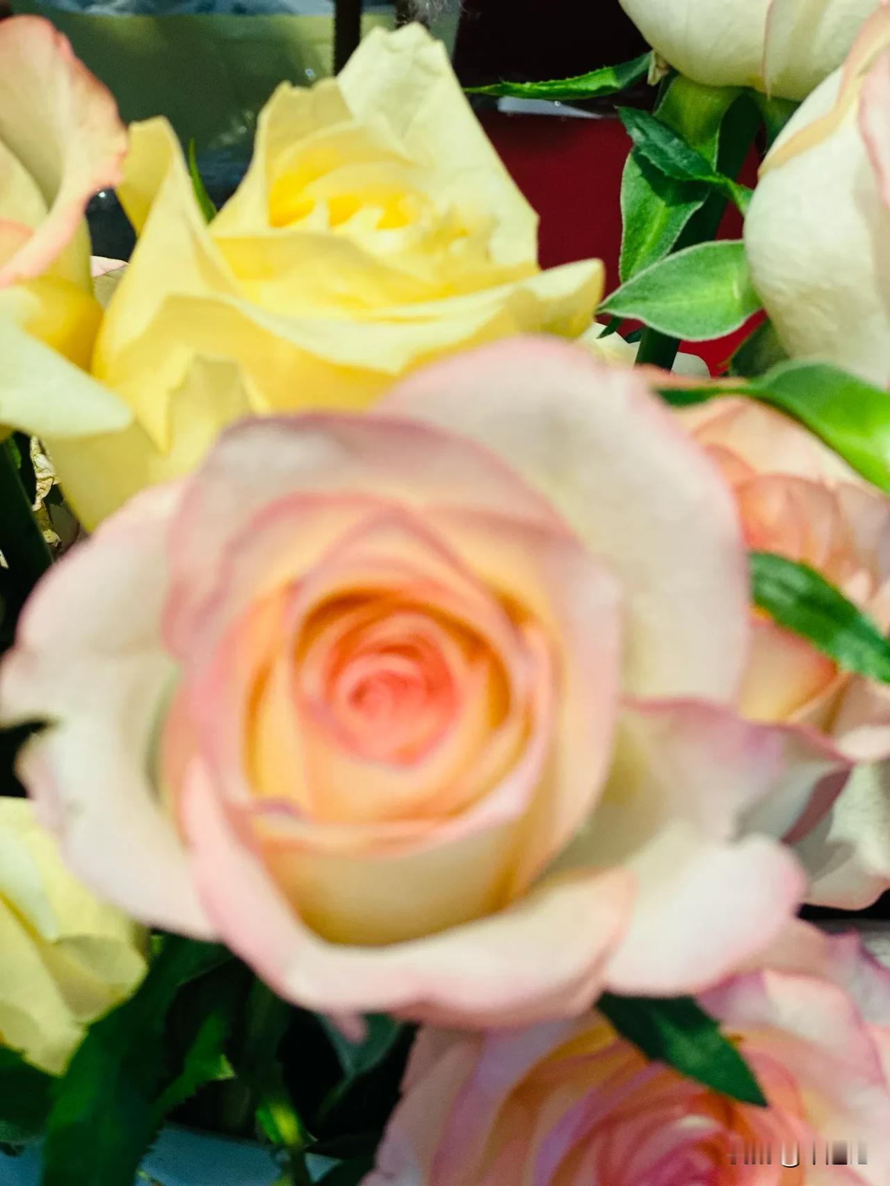 我个人认为取消重点班没有什么好处，特别对于中小学生来说，每个孩子的发育都不一样，