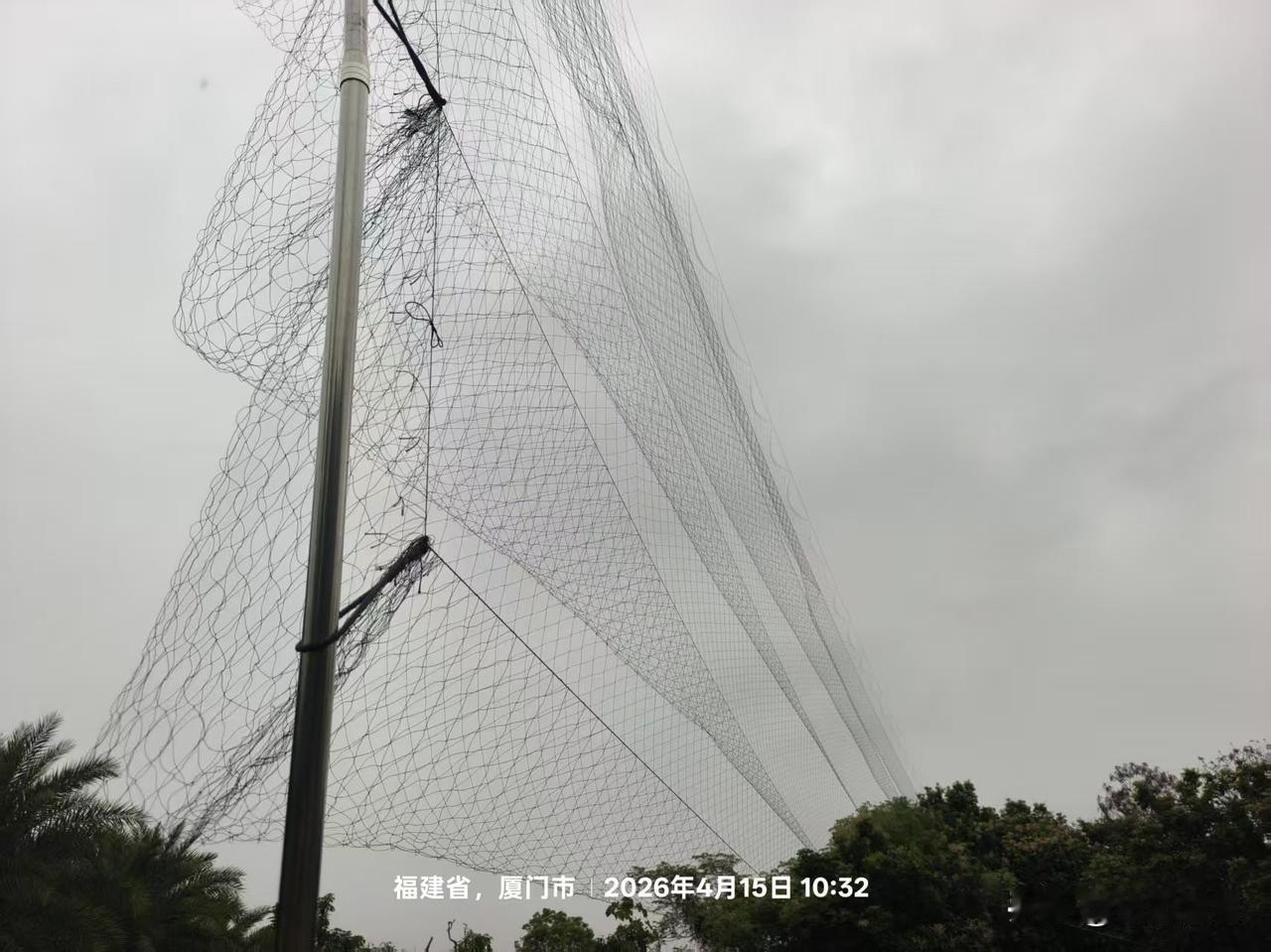 福建省厦门市，在生物多样性领域有诸多的荣耀光环，比如鸟类栖息地保护方面 ，它是全