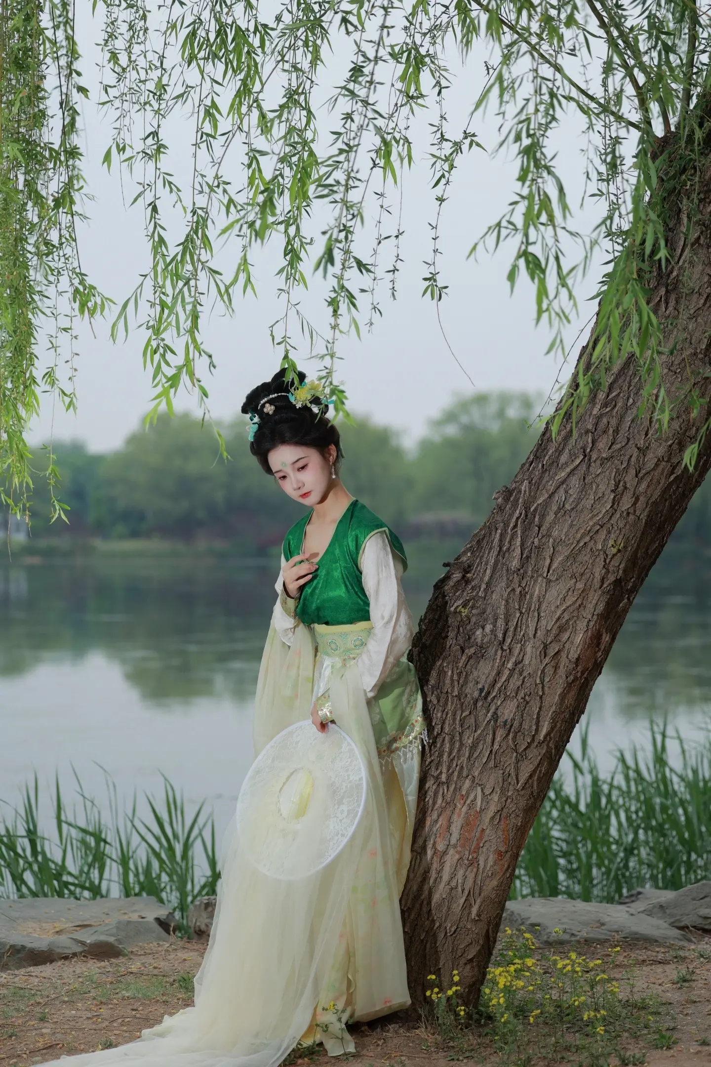杨柳依依～