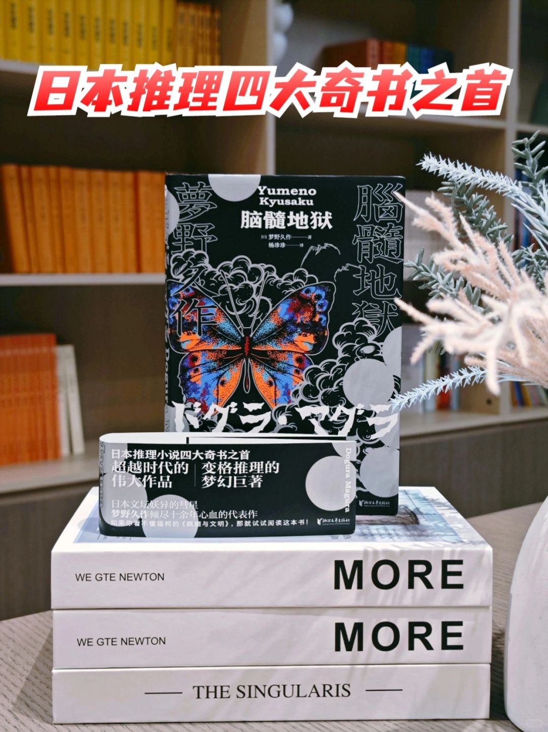真的勇士，敢于挑战日本四大推理奇书之首～