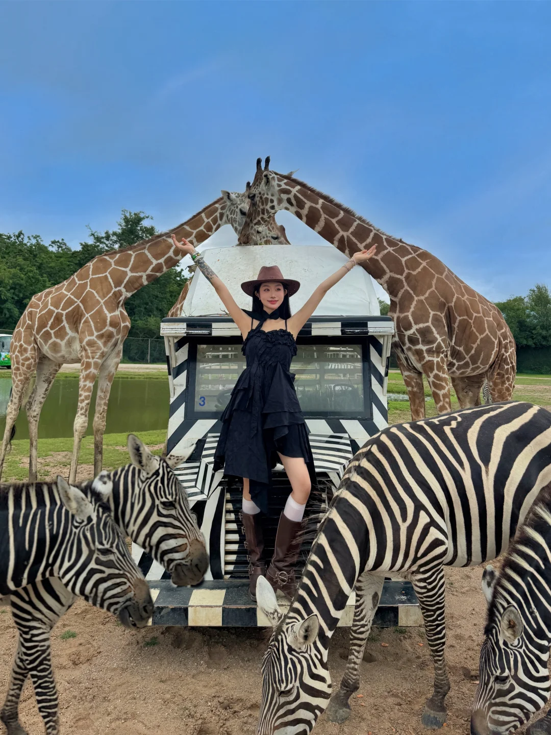 曼谷小小肯尼亚🦒🦓🦌