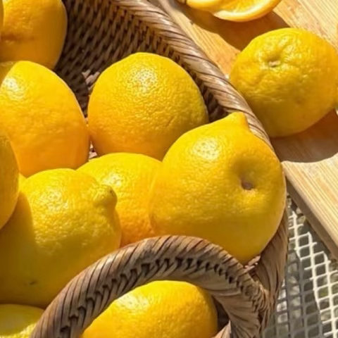 1800🍋柠檬的种植方法：1.配土选用疏松微酸性基质，花盆预留排水通道，避免根