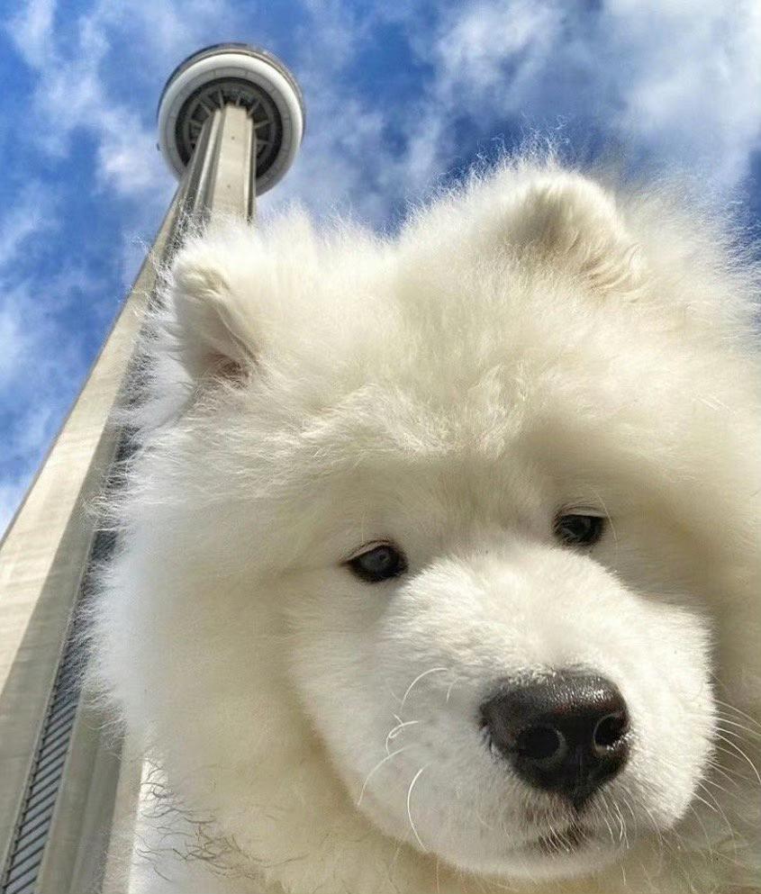 现在的年轻人真是有才（有趣）了，据说使用这个图片做微信头像，可以给领导（老登们）