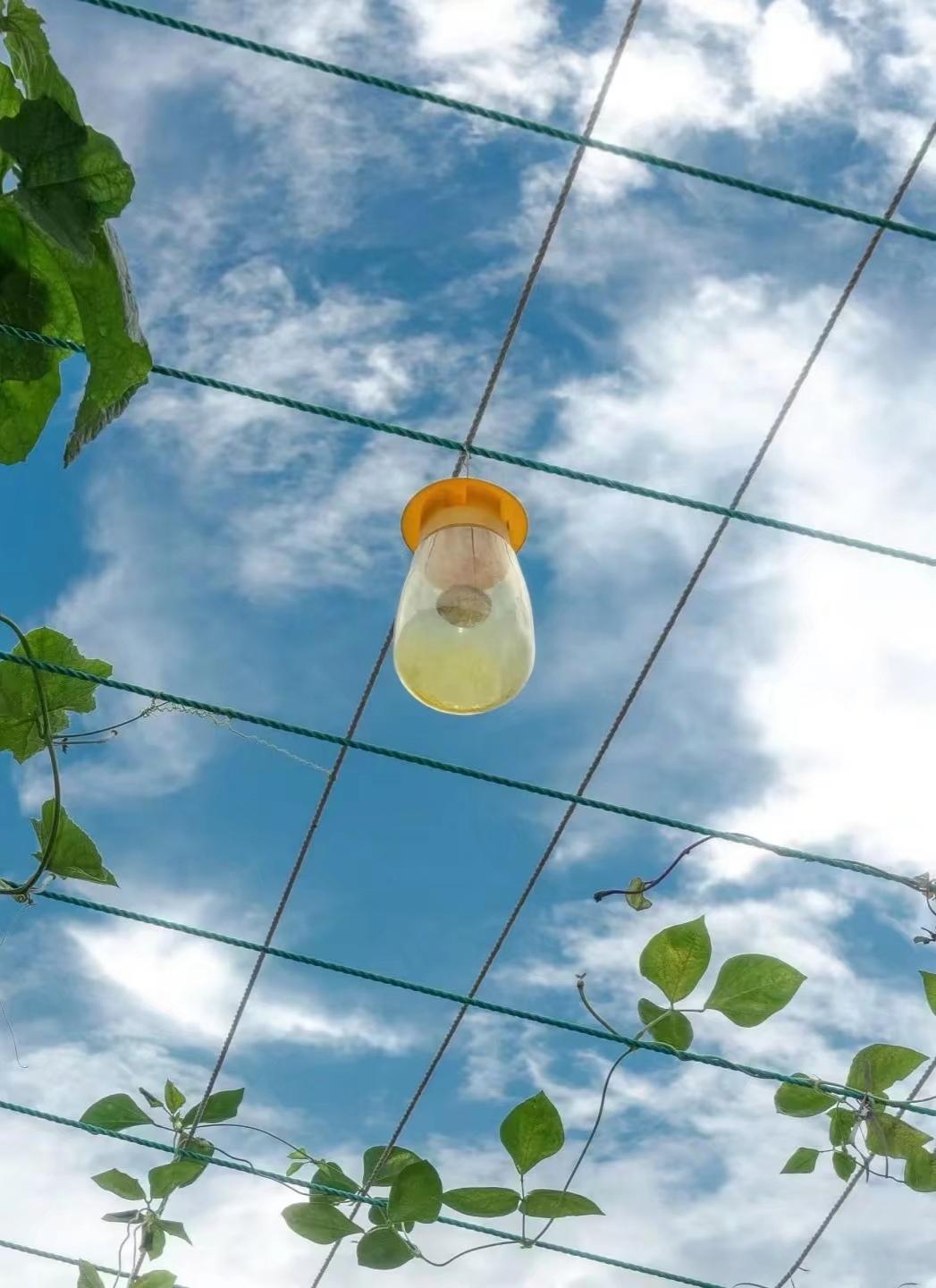 分享每天美好时光仰望