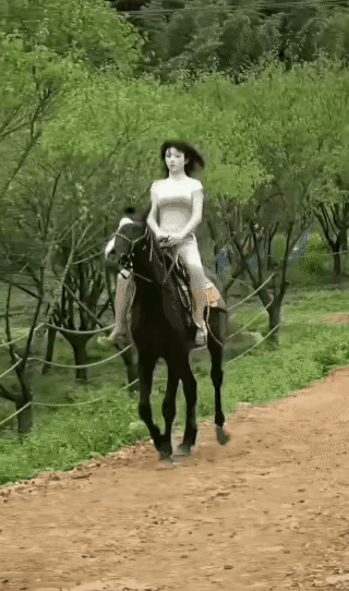 马儿是很懂网友们的