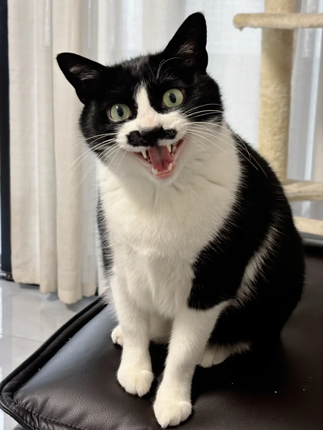 只要有人喜欢，我就会一直发