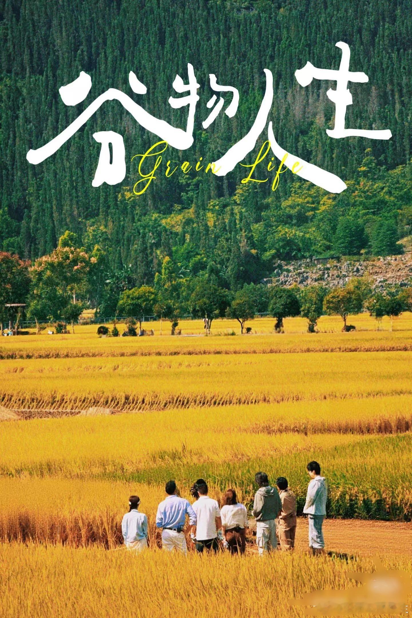 曝时代峰峻下半年将资源重整贵州兴化录制现场路透来了。9月1日在稻田拍摄过程，被网