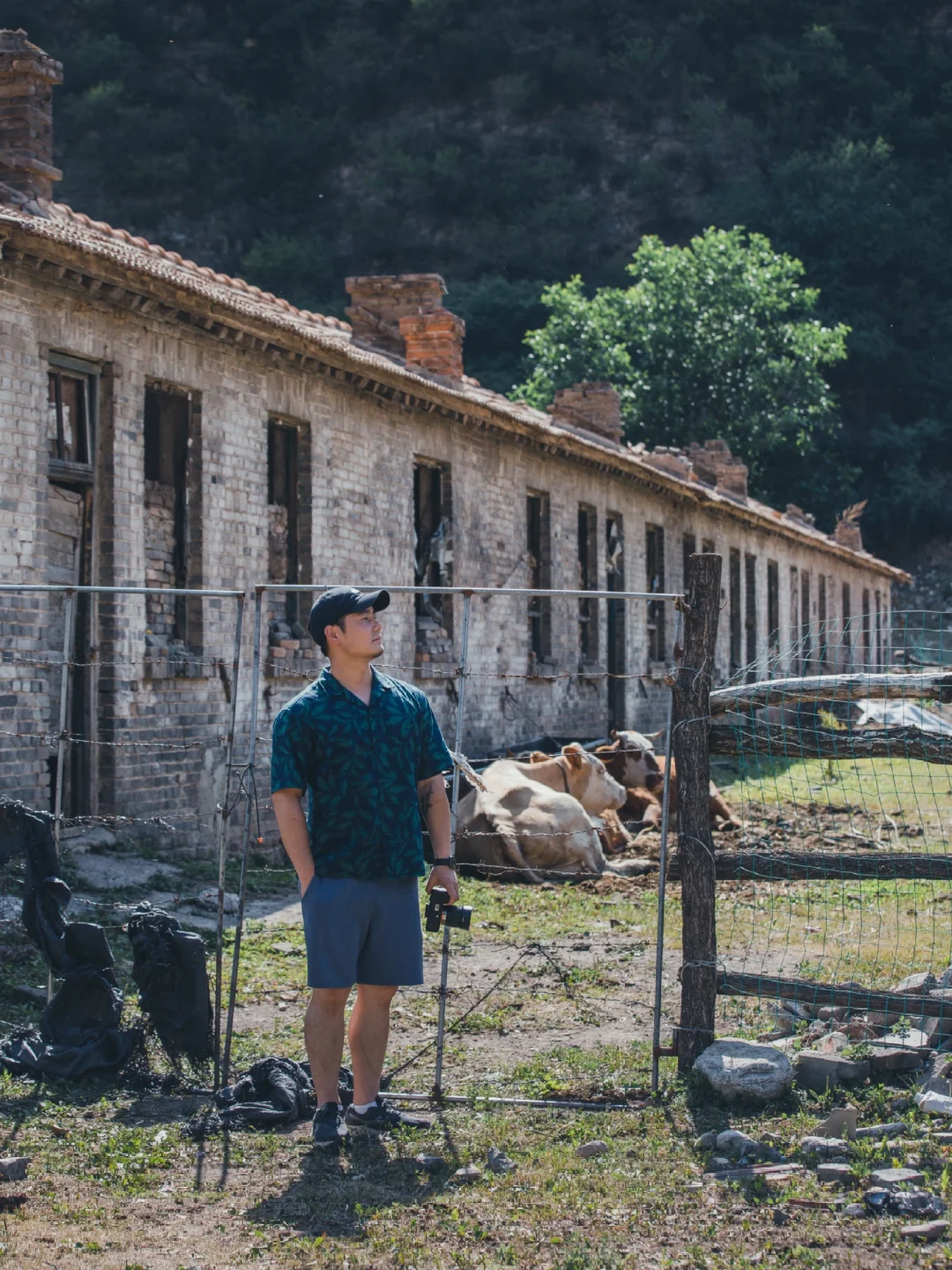 山西中阳 | 黄土高坡上的秘境山谷