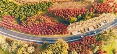 辽宁沈阳：层林尽染 秋景如画 ​​​