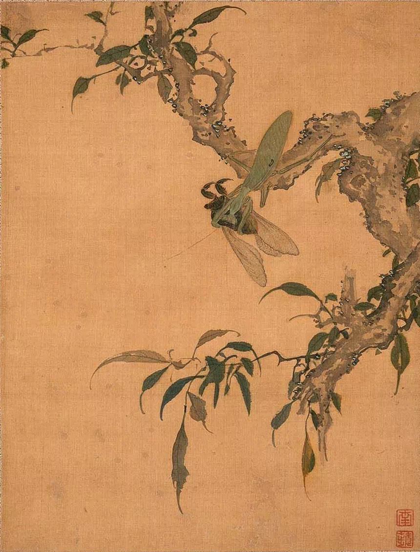清 沈铨 《花鸟图册》欣赏沈铨 《花鸟图册》 美国波士顿美术馆藏。沈铨 （168