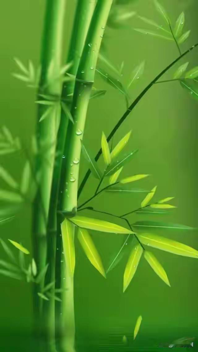 这话讲得实在通透：“人生真正的底气，从来不在于拥有了多少，而是内心敬畏着什么。”