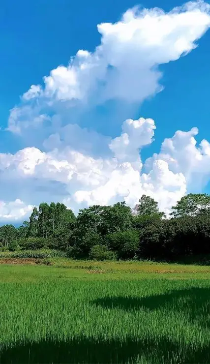 九十年代拆迁户