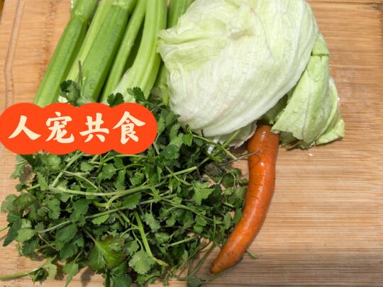 熟自制🐶其实就是狗吃什么我吃什么