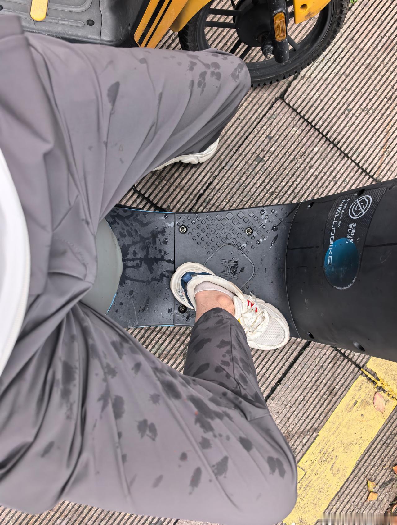 想怎么开就怎么开理想 这车的群体有点东西的，我在非机动车道上，中间还隔着种树的花