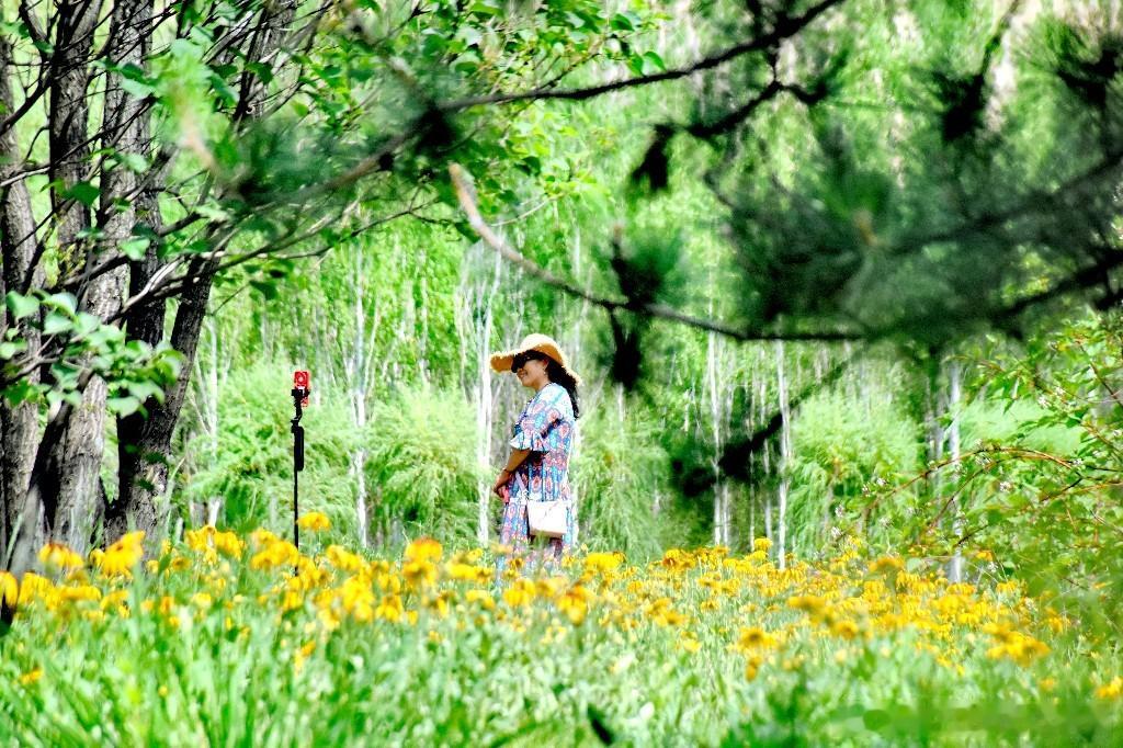 地理冷知识寻美黑龙江 近日，哈尔滨市道外区天恒山西侧的知青公园内，许多市民、游客