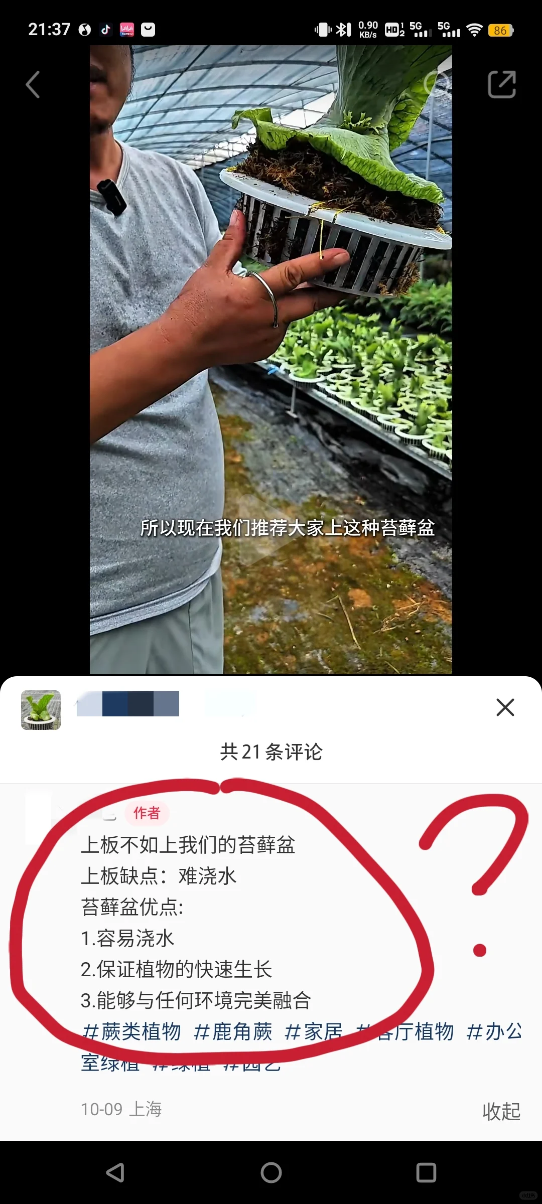 可以赚钱，但不要玷污鹿角蕨