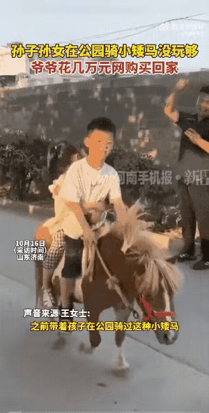 “这爷爷豪横！”山东济南，父母待小孩子去公园里骑小马， 50元没骑几分钟就结束了