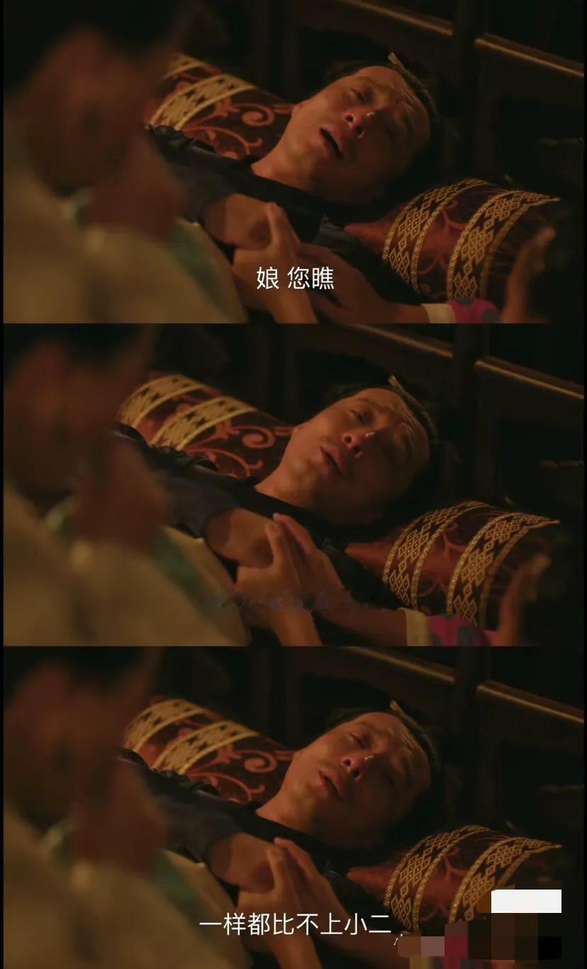 在他出生的时候亲生母亲大秦氏难产去世，从小照顾他的是白氏，也就是顾廷烨的亲生母亲