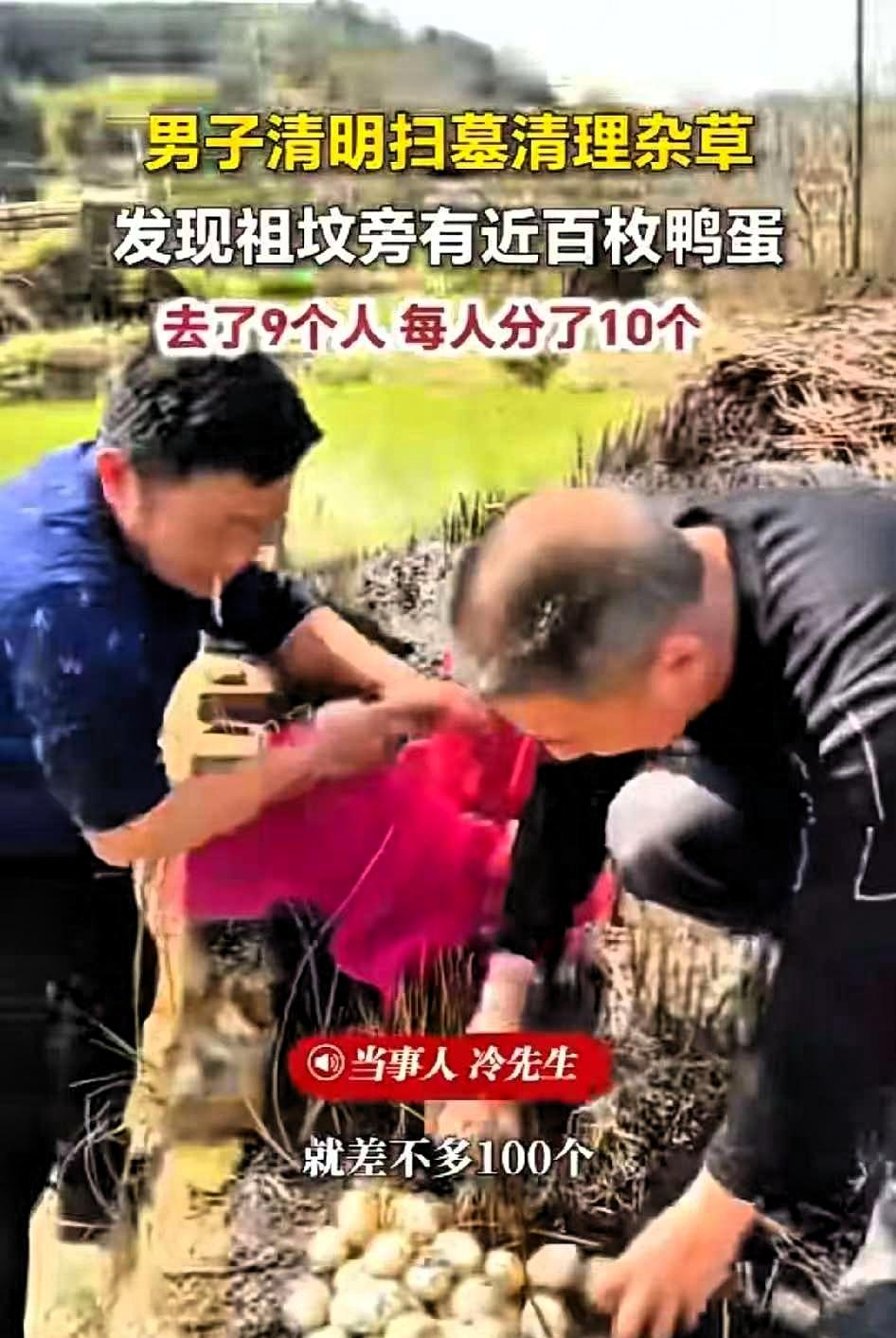 太惊喜了！江西九江一家9口清明扫墓，本来只是安安静静尽份孝心，谁能想到，刚扒开祖