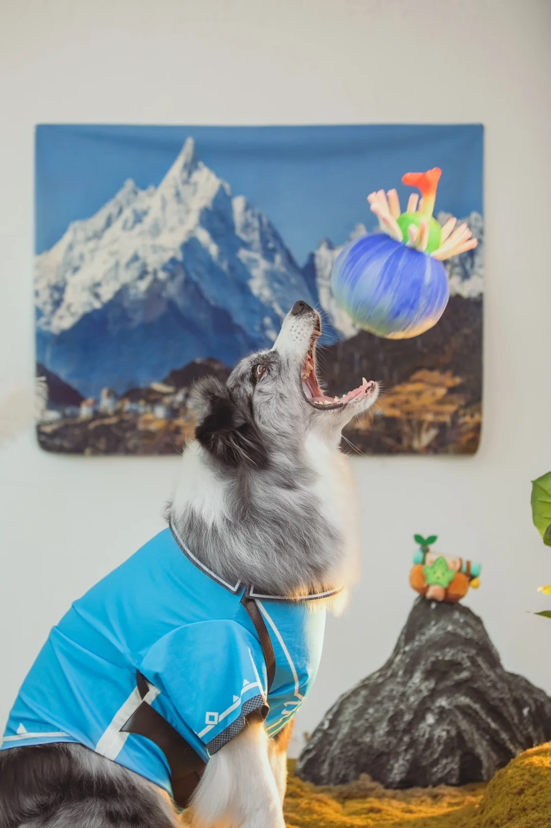 吃货主打一个什么都敢接