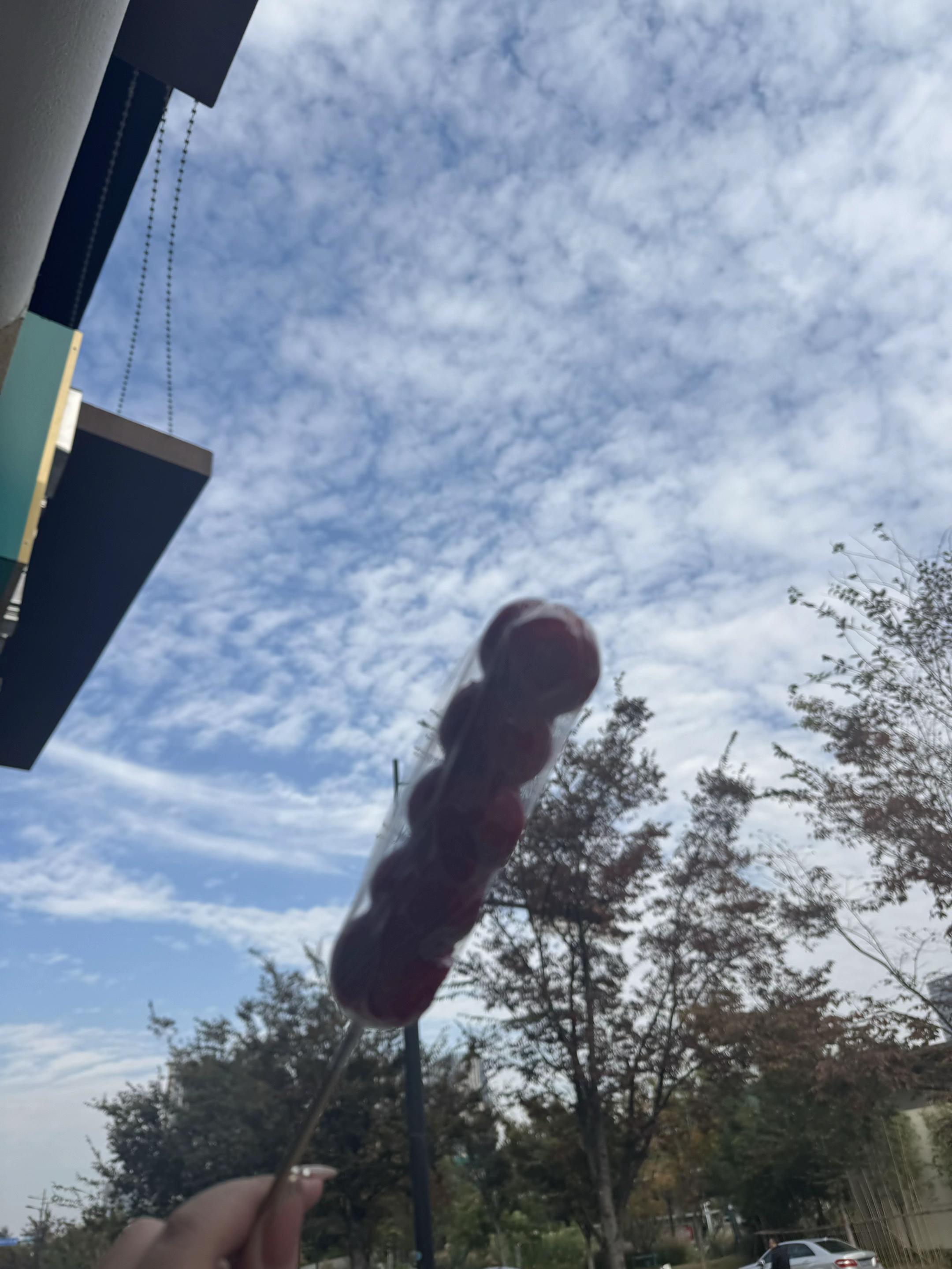 工作附近，有一个经常叫卖糖葫芦的老人。我观察了他一些时间，发现他经常卖...