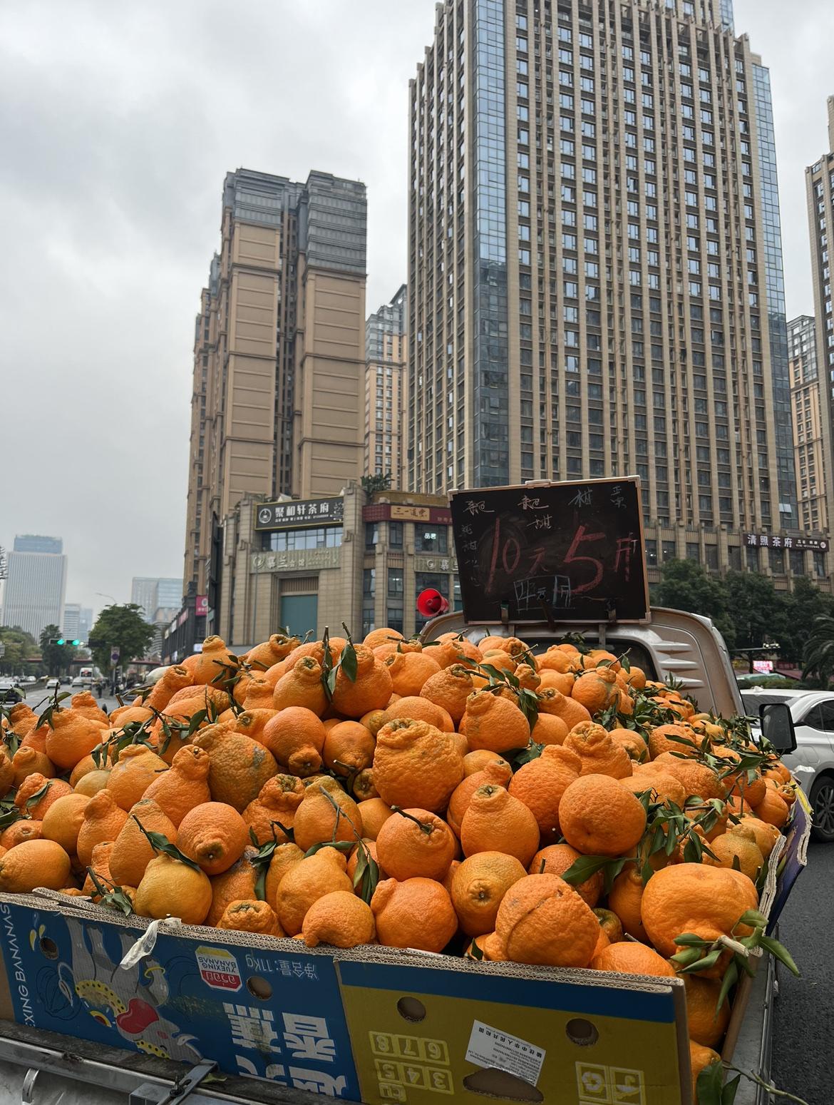1月2日，成都街头，微雨，寒冷，人很少，货车斗里满满的“耙耙柑”10元5斤。
