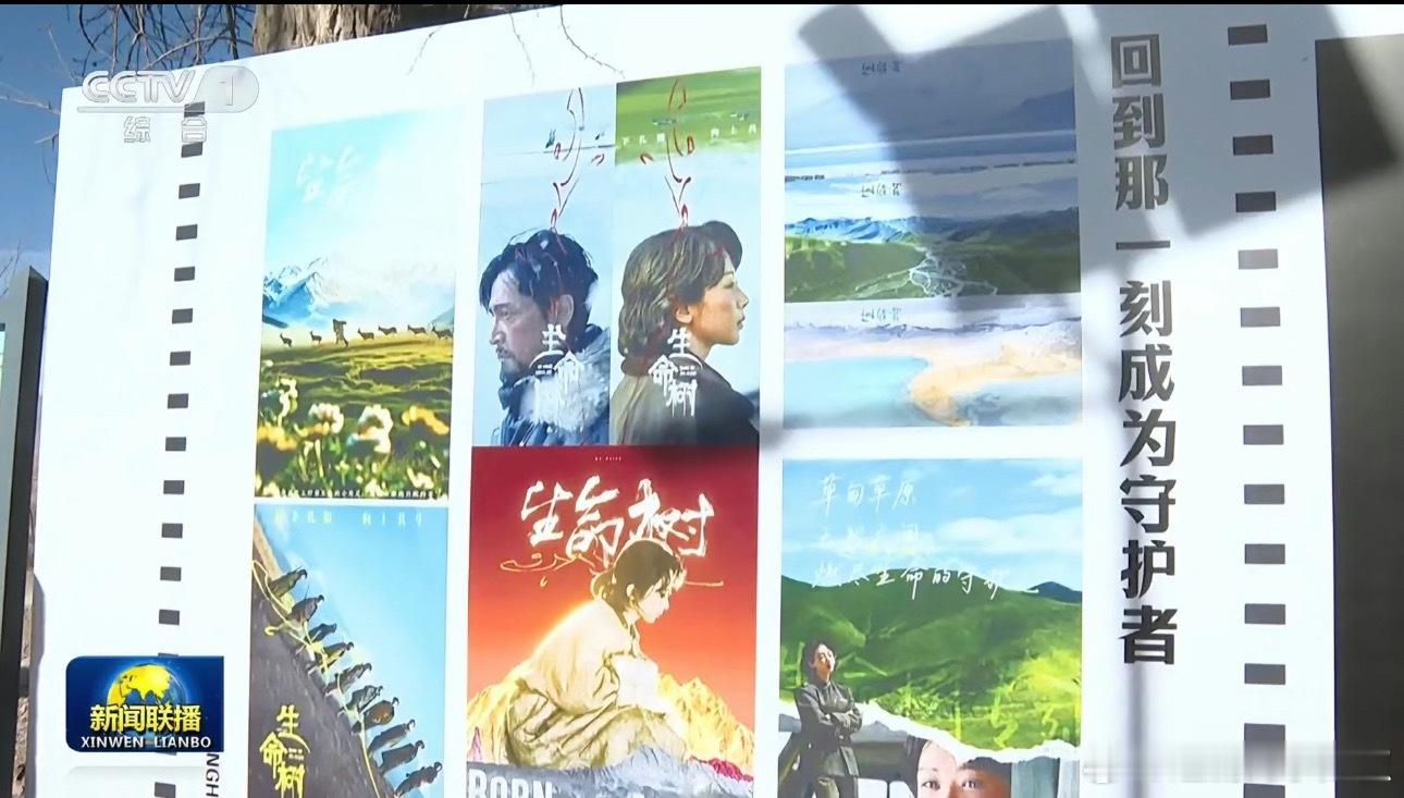 🌸粉剧宣这块内娱的神，杨紫粉丝二创都上了新闻联播 