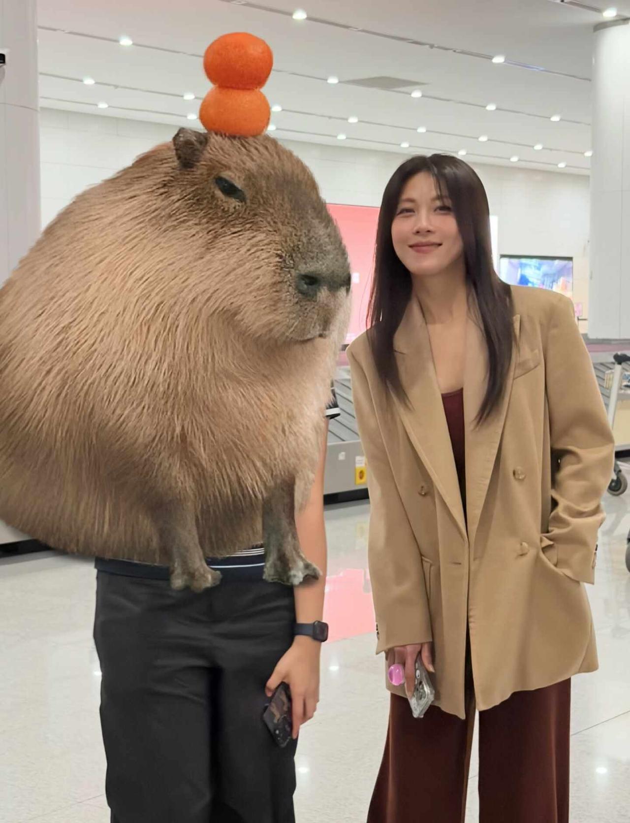 青岛胶东机场 碰到了河智苑
在取行李的时候碰到了河智苑
	
河智苑 胶东机场 青