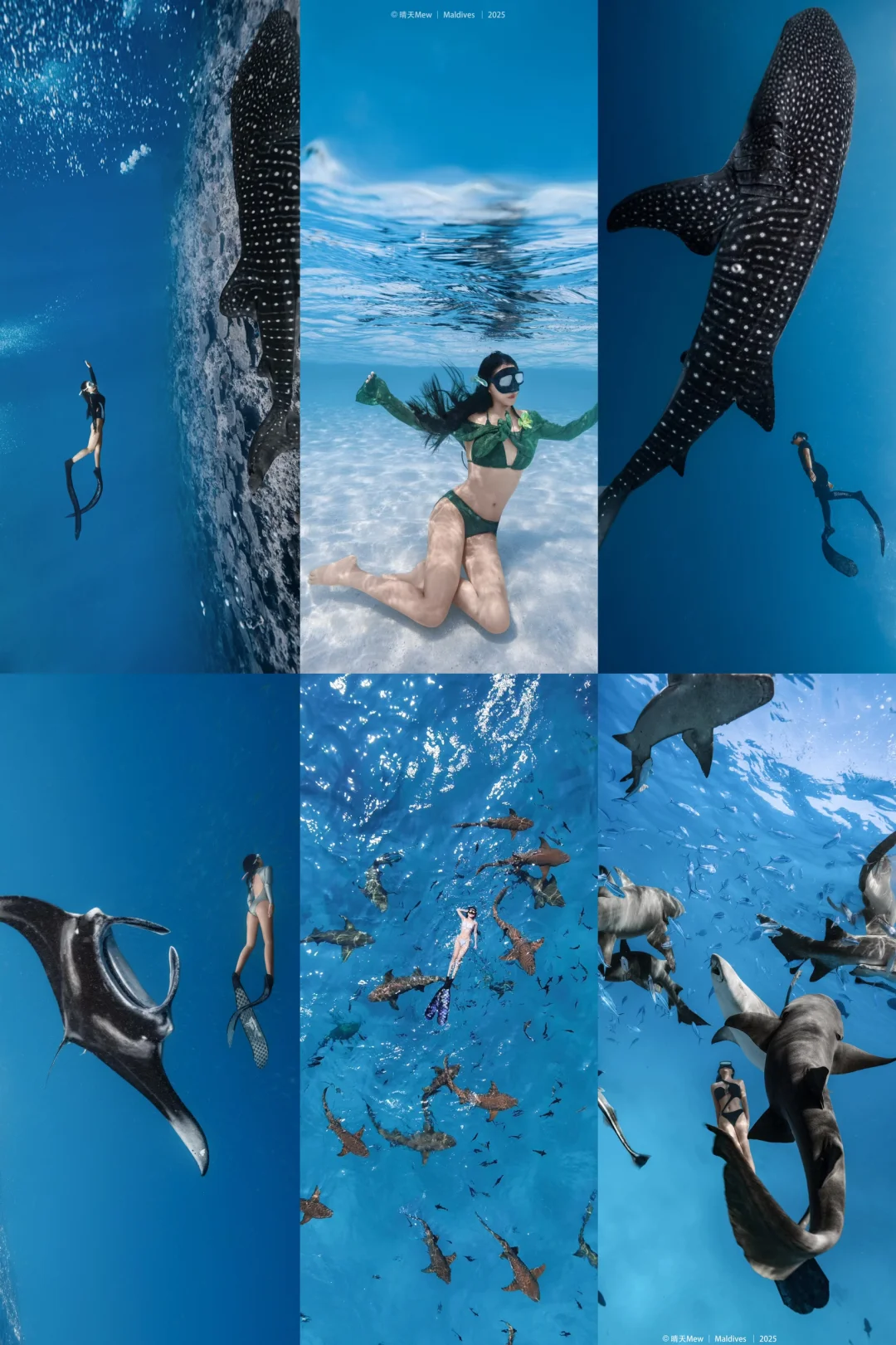 在这里你就会爱上马尔代夫🌴