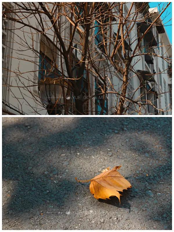 又一天结束了
忙忙碌碌
那些清晰的看法
在浮躁中消磨殆尽
在安静的思索中
被重新