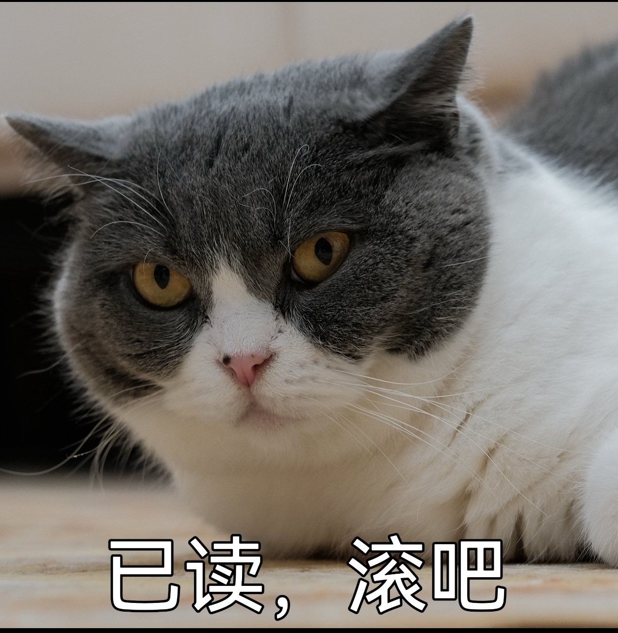 张碧晨弃赛声明看得出来，歌手实在是没有什么热度了，这都要再拉张碧晨出来溜溜，下图