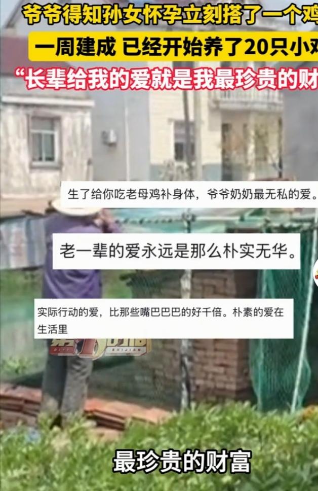 爷爷对孙女的爱，藏在那个亲手搭建的鸡窝里。
远嫁的女儿报喜怀孕，老爷子沉默几秒就