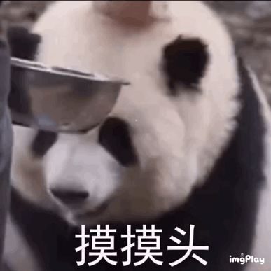 聊天必备表情包第466弹黑白小圆子（拿图吱声） ​​​