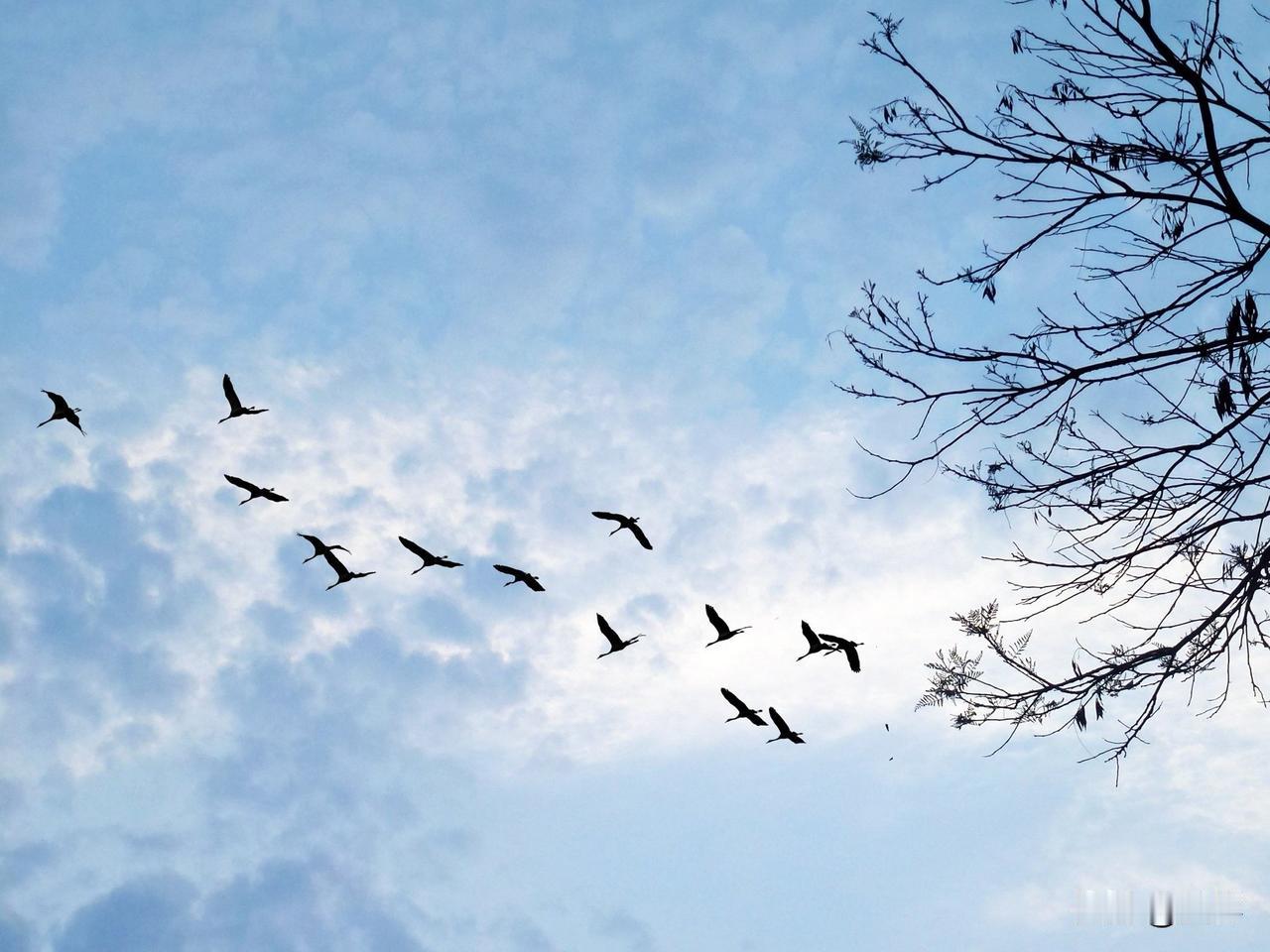 随手拍一张你所在城市的蓝天景色秋天既多彩又多情，有绚丽有伤感，有充实有喜悦……