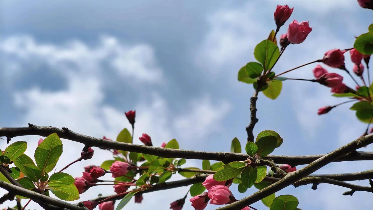 “我们是来干活的，不许拉帮结派”。这是今早排队领拖把布时，同事间的一句玩笑话。