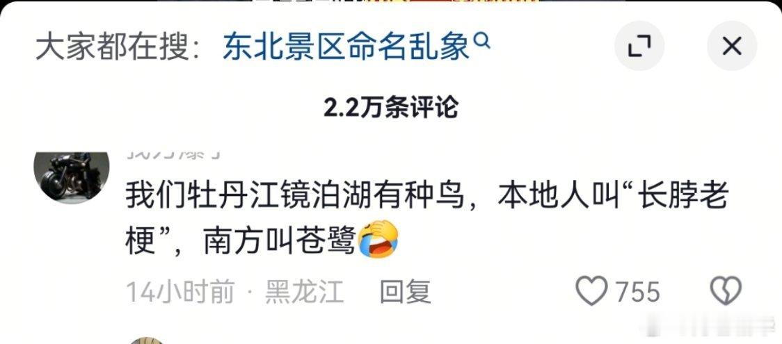 看这个笑得要死，宫崎骏的《你想活出怎样的人生》，不是有人翻译成《苍鹭与少年》，翻