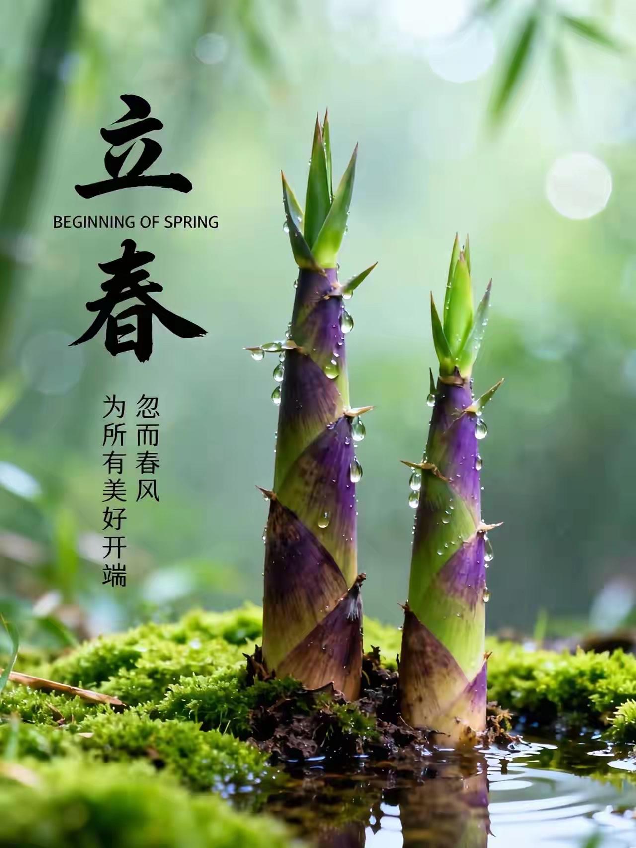 真正的新的一年轮回开始了