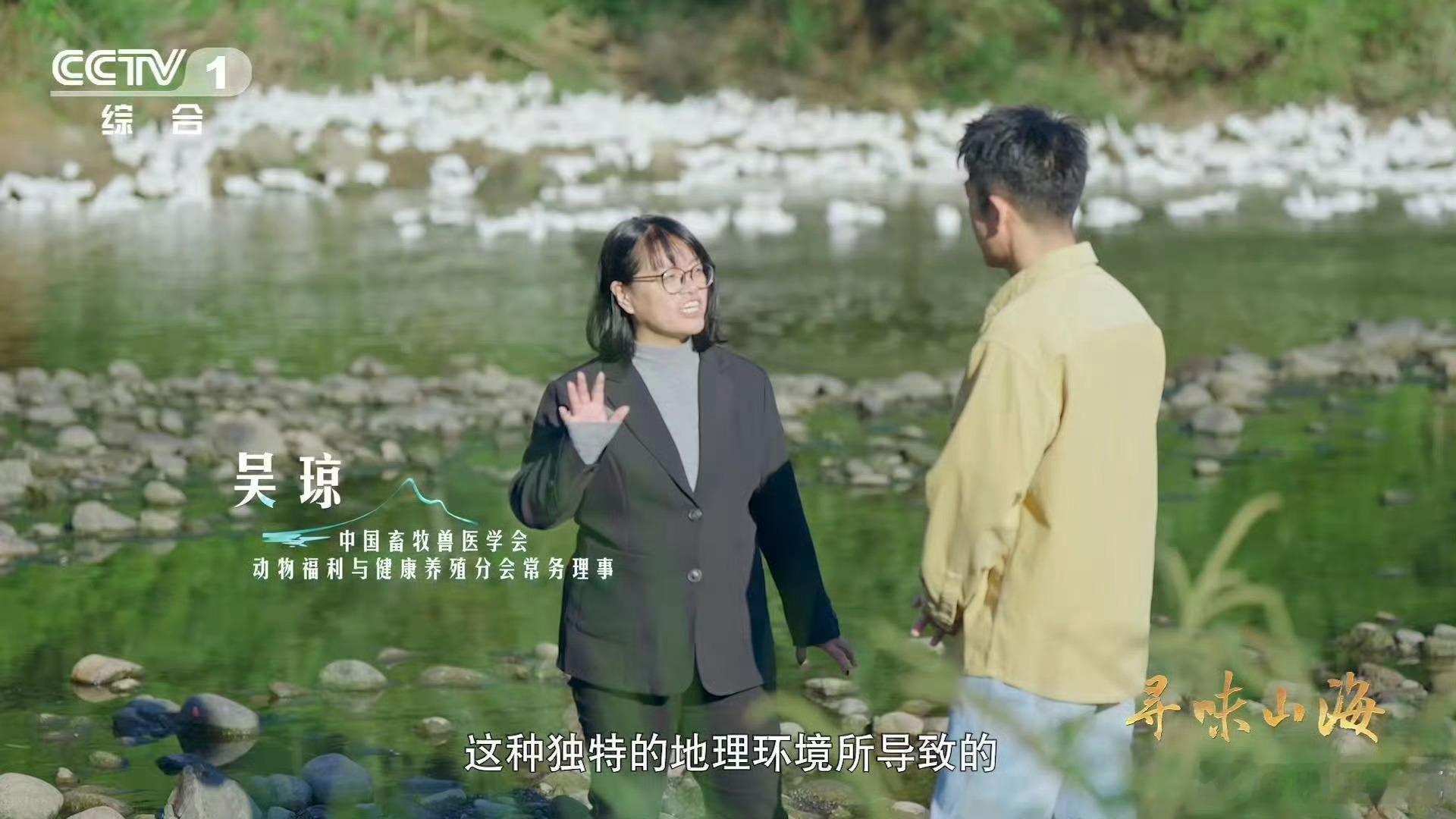 福建有种鸭越老越贵 涨知识！连城白鸭越老越金贵，三步摸龄法教你辨老嫩，含18种氨