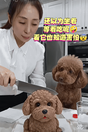 把毛孩子吓出心脏病出来怎么办？[憨笑]