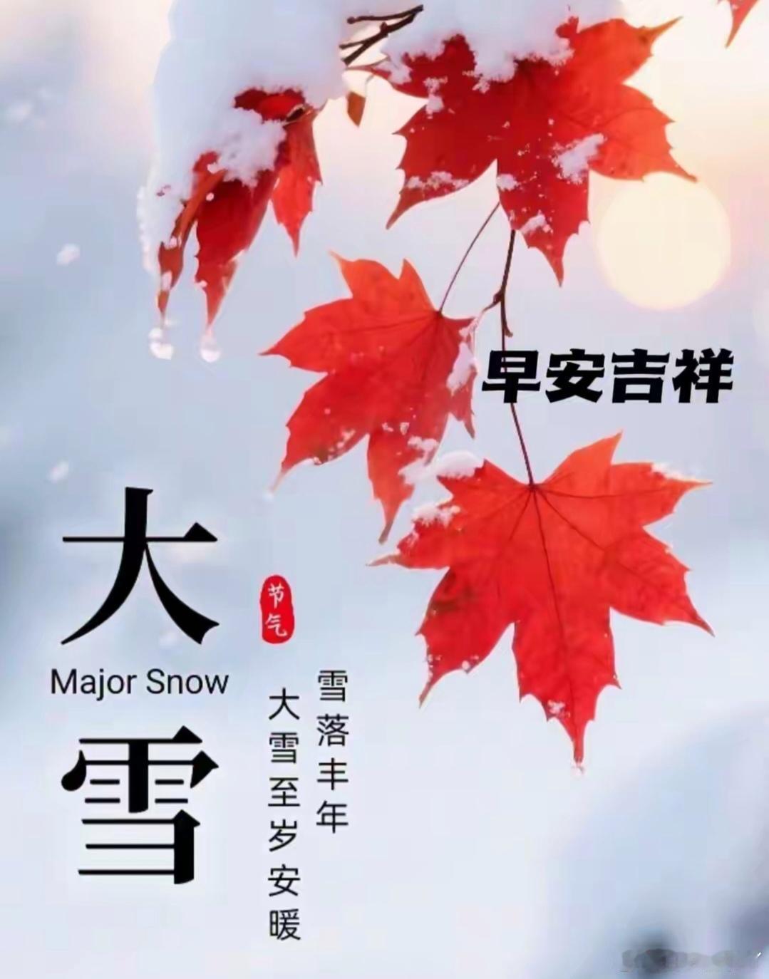 冬有冬的来意，雪有雪的秘密，今日大雪，愿你身寒有衣穿，心寒有人暖，愿你遇良人，长