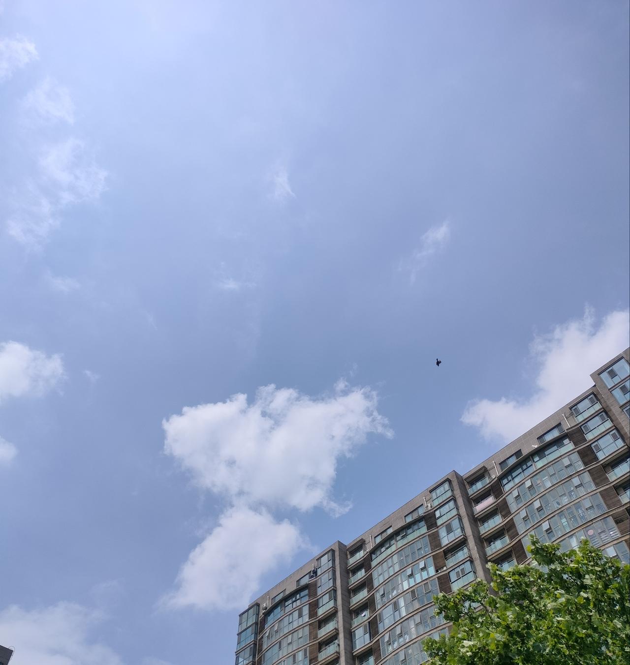 分享一张蓝天白云照片天气晴朗，蓝天白云就像一幅美丽的画卷，只是气温有点高，开始躲
