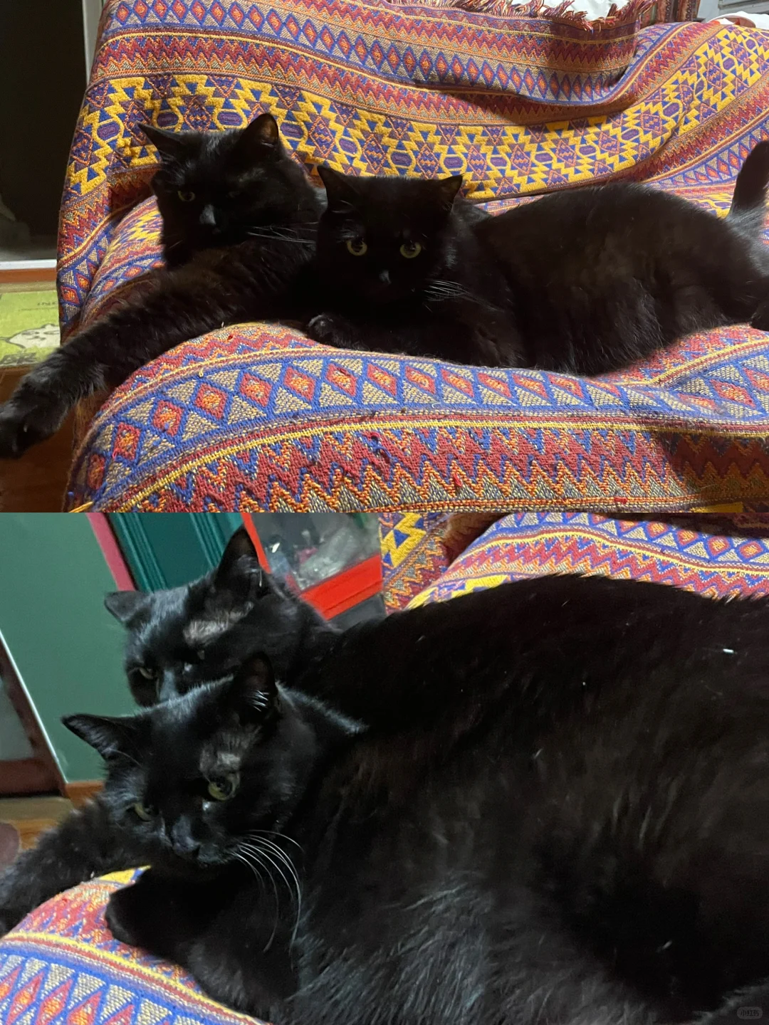 哥哥你看 👀 对面那人好像一条单身狗啊