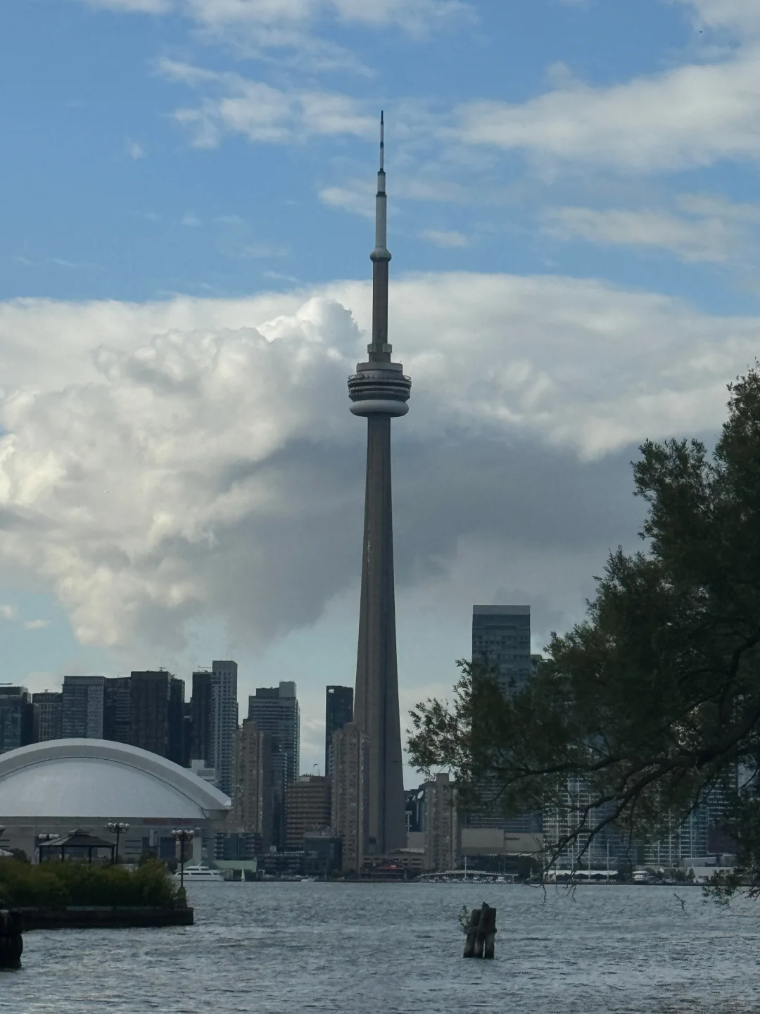 人在国内也能拿加拿大🇨🇦PR的方法